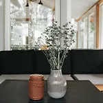 Ostoja *