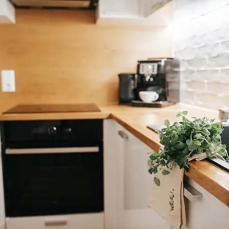 Ostoja Tatil Evi Rzyki