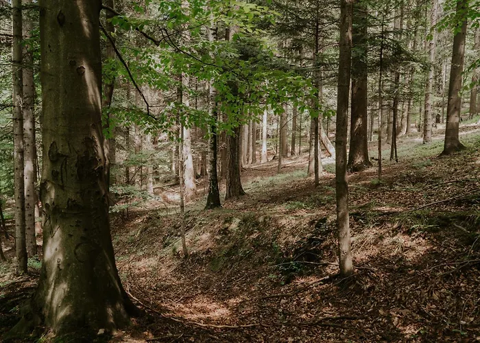 Ostoja Casa vacanze *