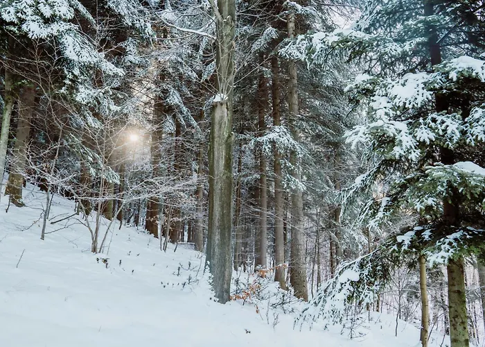 Casa vacanze Ostoja *